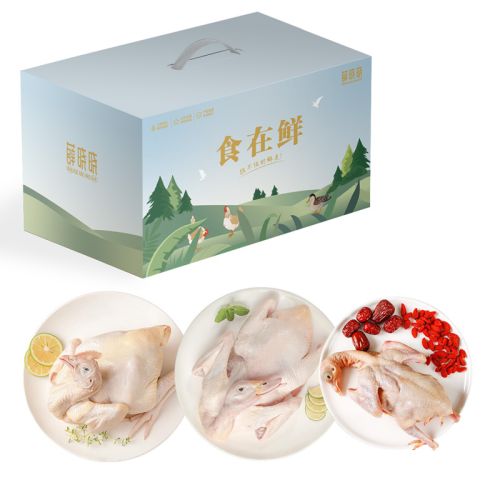 威尔伯冰鲜家禽A